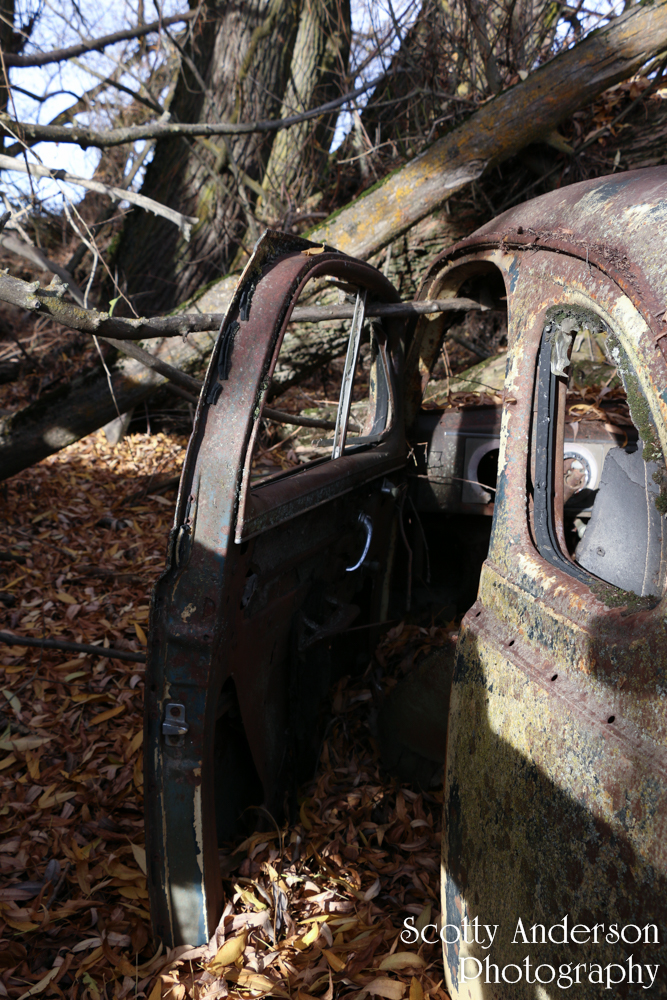 Two Abandoned Cars