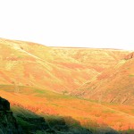 Canyons along the Snake River.