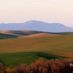 Rolling hills as seen from Boone Hill Road.