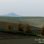 Steptoe Butte as seen from Boone Hill Road.