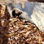 The tire from the car is nearly completely buried.