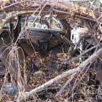 The interior of the car is gone.  The only thing the remains is the metal.