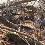 A second car is parked next to the first car in the middle of a small patch of woods in the middle of a wheat field between Pullman, WA and Moscow, ID.